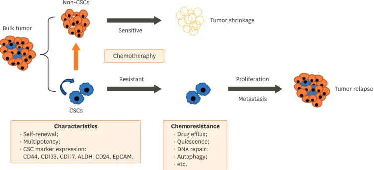 Fig. 1. Schematic representation of CSCs in ovarian cancer chemoresistance. Chemotherapeutics fail to eliminate CSCs which can regenerate the entire tumor  and ultimately result in a relapse
