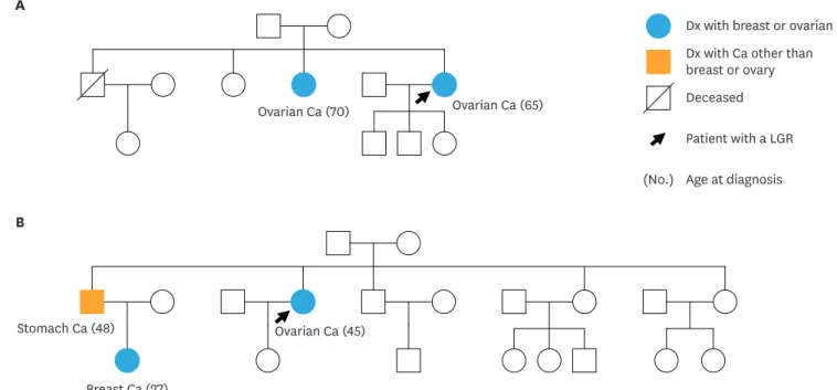 Fig. 2. Pedigree of the 2 patients with LGR mutations in this study. (A) Family pedigree of patient A with a deletion of BRCA1 exons 1–2