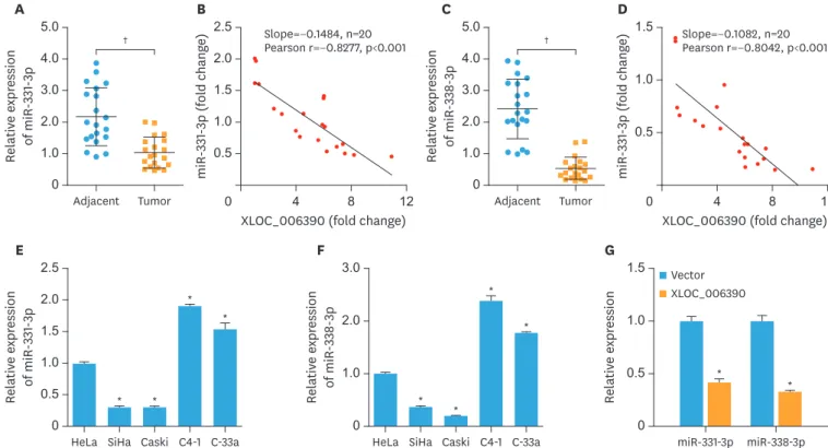 Fig. 2. Expression of miR-331-3p and miR-338-3p was significantly downregulated in cervical cancer
