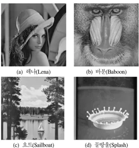 표 3. 성능 비교를 위한 데이터 은닉 기법의 세부적 분류 Table  3.  The  detailed  classification  of  data  hiding  to  compare  the  performance   