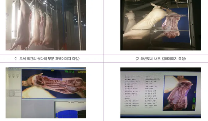 그림 1. 한국형 산식을 통한 기계측정값 도출과정