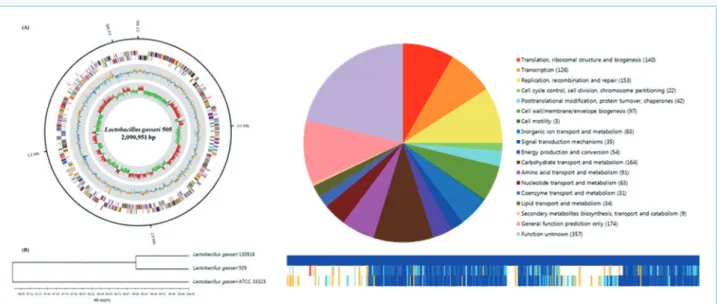 그림 5. Lactobacillus gasseri 505의 whole genome sequencing 결과 (Oh et al. 2016c)