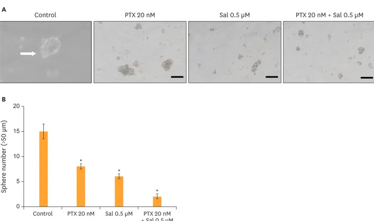Fig. 3. Salinomycin inhibits the formation of spheroids. (A) OCSCs were incubated with PTX and/or salinomycin for 14 days under spheroid forming conditions