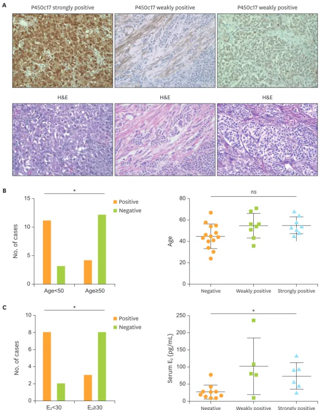 Fig. 3. Relationships between P450c17 expression and patient age and serum E2 levels. (A) Representative images of P450c17 expression