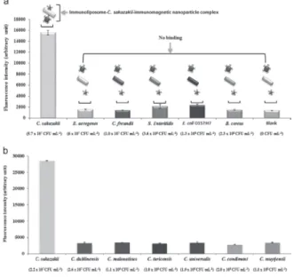 Fig. 7.  Detection sensitivities of developed immunoliposome-based  immunomagnetic  concentration  and  separation  assay  and  INC-ELISA in the detection of C