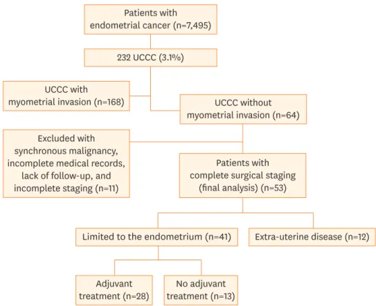 Fig. 1. Inclusion process of the patients. 