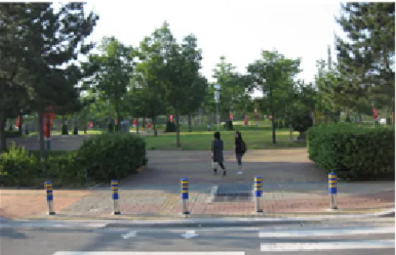 Fig. 1 Bollards installed along a road 