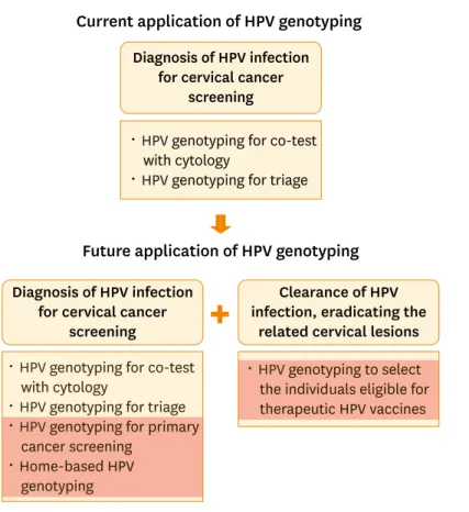 Fig. 3.  Schematic representation showing changes in the application of human papillomavirus (HPV) genotyping