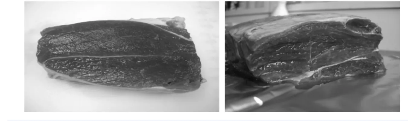 Fig. 2. Fresh (left) and thawed (right) donkey loin
