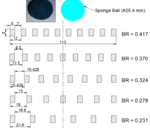 Fig. 2 Cross section of the ball strainer screen  module and blockage ratio (BR)