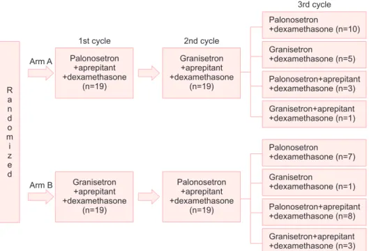 Fig. 1. Study design flowchart. During  the first cycle, the patients received  palo-nosetron or granisetron with the other two  drugs, aprepitant and dexa methasone