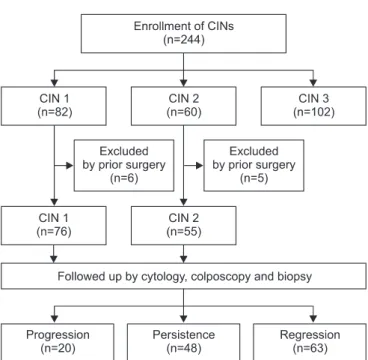 Fig. 1. Patients. CIN, cervical intraepithelial neoplasia.
