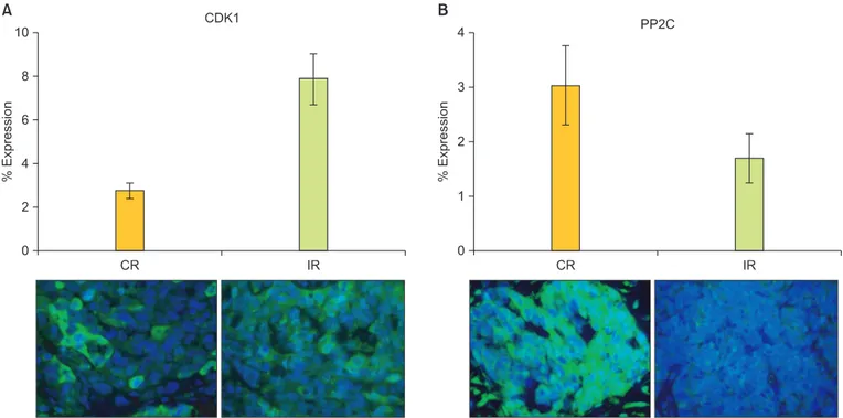 Fig. 1. Cisplatin-resistant tumor samples express higher levels of BCL2 antagonist of cell death (BAD) pathway kinases and lower levels of BAD  pathway phosphatases