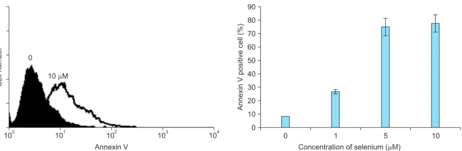 Fig. 3. Selenium does not have addictive effect with paclitaxel in inhibiting tumor growth and nodules of SKOV3ip1 animal model