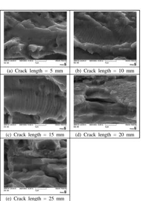 Fig. 9 SEM images of BM-CL specimen