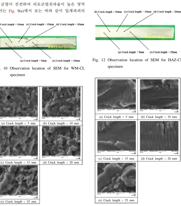 Fig. 10 Observation location of SEM for WM-CL  specimen