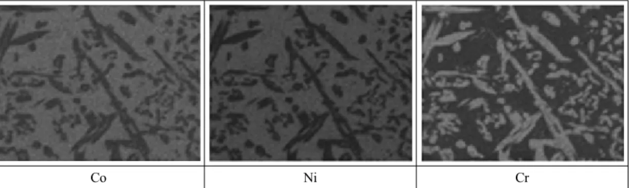 Fig. 2 EDS-mapping image of coating layer post heat-treated at 1100℃