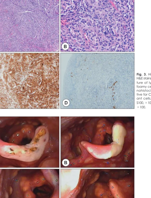 Fig. 3. Histopathologic findings. 