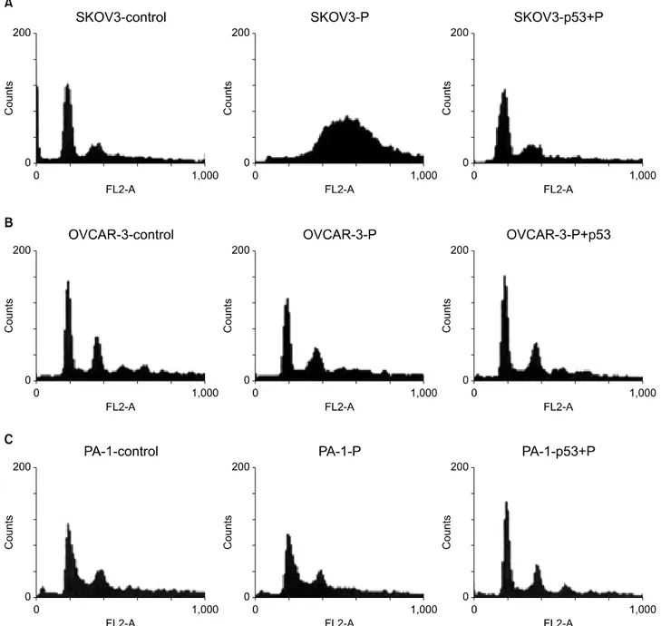 Fig. 6. Flow cytometric analysis show that cell fraction at G2/M phase increased after cisplatin treatment in p53 deleted SKOV3 cells, how- how-ever, G2/M phase fraction decreased dramatically after Ad-p53 transfer (A)