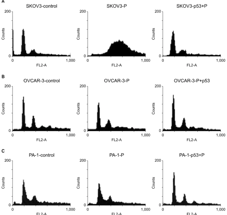 Fig. 6. Flow cytometric analysis show that cell fraction at G2/M phase increased after cisplatin treatment in p53 deleted SKOV3 cells, how- how-ever, G2/M phase fraction decreased dramatically after Ad-p53 transfer (A)