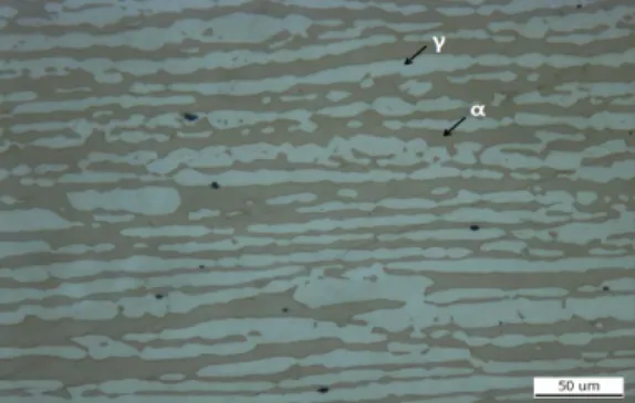 Fig. 1 Optical micrographs of 4Mn-2Ni duplex  stainless steels after annealing treatment at 1,000℃.
