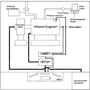 Fig. 1 Schematic diagram of experiment
