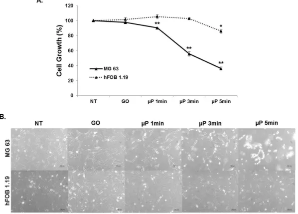 Fig. 2. Cytotoxic effect of plasma on MG-63 and hFOB 1.19 cells. MG-63 and hFOB 1.19 cells were treated with plasma at different times (0-5 min) for 24 h