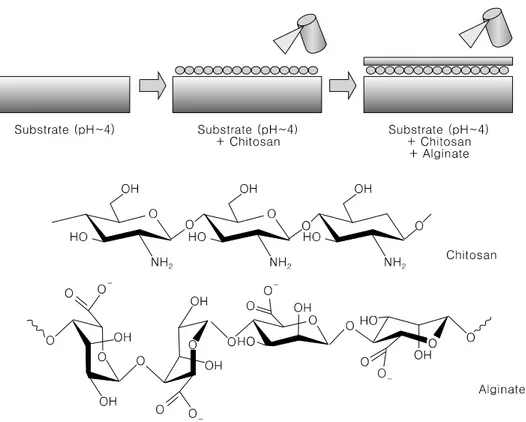 Fig. 3. The process of Chitosan-Alginate gel. After loading of Chitosan-microspher in the substrate of pH 4, alginate  was  sprayed  (upper)