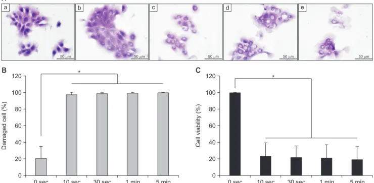 Fig. 1. Effect of dental acid-etchant application time on cell damage and viability in oral epithelial cells
