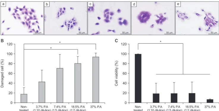 Fig. 2. Effect of dental acid-etchant concentration on cell damage and viability in oral epithelial cells