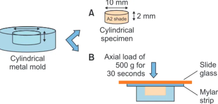 Fig. 1.  A Schematic representaion of the specimen fabrication. (A)  A cylindrical specimen