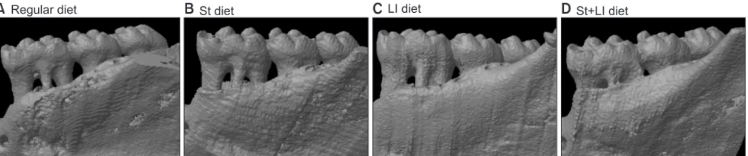 Fig. 1. Micro-computed tomography (CT) image of ligature-induced periodontitis rat. The ligature-induced periodontitis rats were fed the diet  with  Streptococcus thermophilus (St diet; B), Lactococcus lactis (Ll diet; C), and S