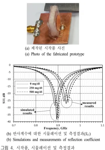 그림  3.  귓불 팬텀 박스에서의 전기장 분포