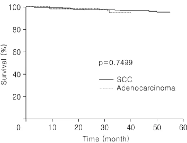 Table 2. The 5-year survival of Ib 1 cervical cancer related to several clinicopathologic variables