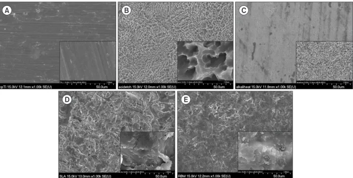 Fig. 1. The scanning electron microscope images of surfaces on control (A), acid-etching (B), alkali-heat (C), sandblasting with large grit and  acid etching (D), resorbable blasted media (E) discs (A-E: ×1,000, ×30,000 [insert]).