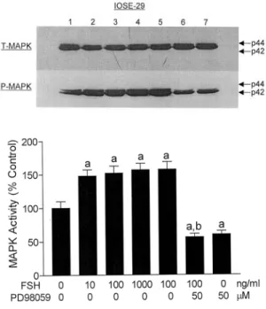 Fig. 2. Effect of FSH in the presence or absence of PD98059 on MAPK activation. The phosphorylated form (P-MAPK) normalized by total form (T-MAPK) was analyzed in IOSE-29 cells