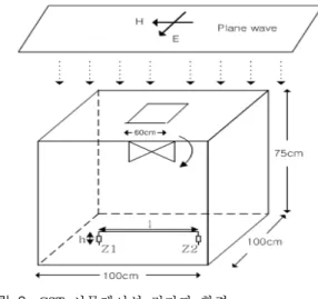 Fig.  2.  The  electromagnetic  environment  for  CST  simulation.