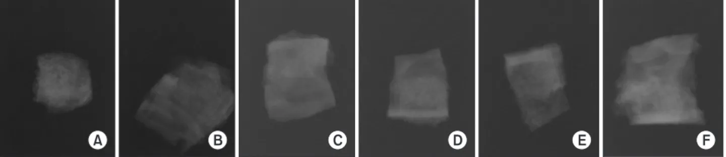 Fig. 4. Histologic finding 2 weeks of Group 1. Small woven bone for- for-mation (arrows) was observed