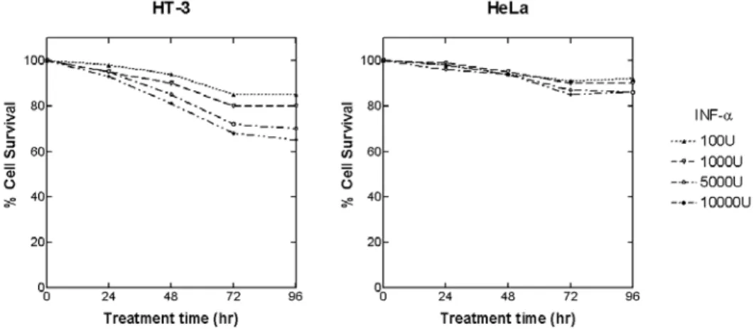 Fig. 2. Survival of HT-3 and HeLa cells by interferon-alpha-2a as functions of drug concentration and treatmnent time.