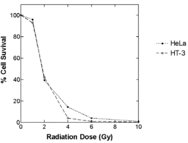 Fig. 3. Survival of HT-3 and HeLa cells by radiation treatment according to radiation dose.
