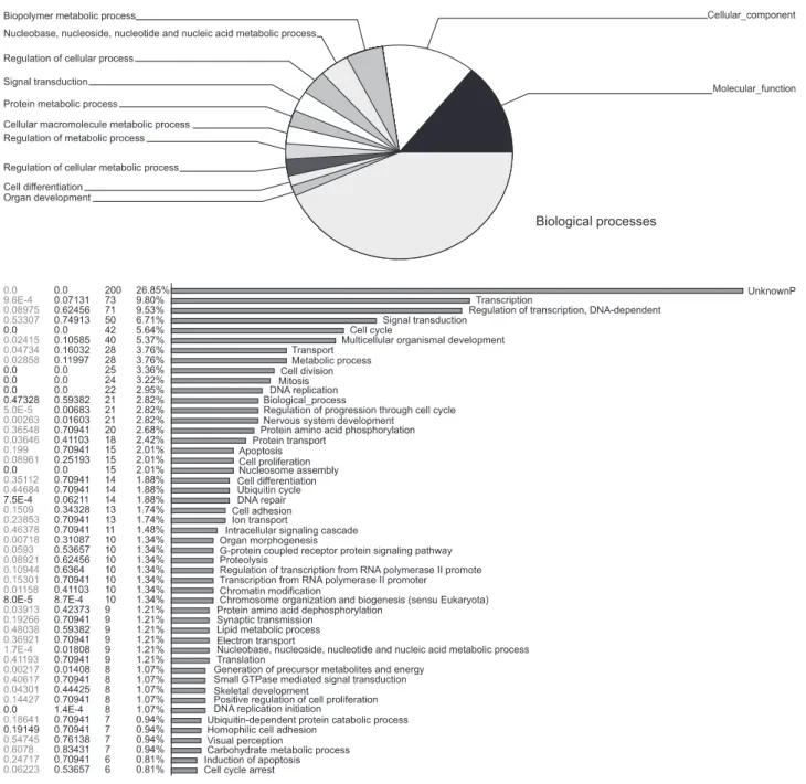 Fig. 1. Biological function analysis of target gene by neuron restrictive silencer factor siRNA transfected and control NMB cells using microarray analysis.