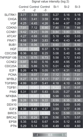 Fig. 2. The expression value of individual target gene by neuron  restrictive silencer factor siRNA transfected and control NMB cells  using microarray analysis.