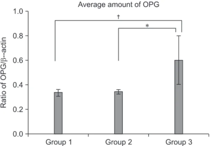 Fig. 6. Graphics showing the average amounts (ratio of OPG/