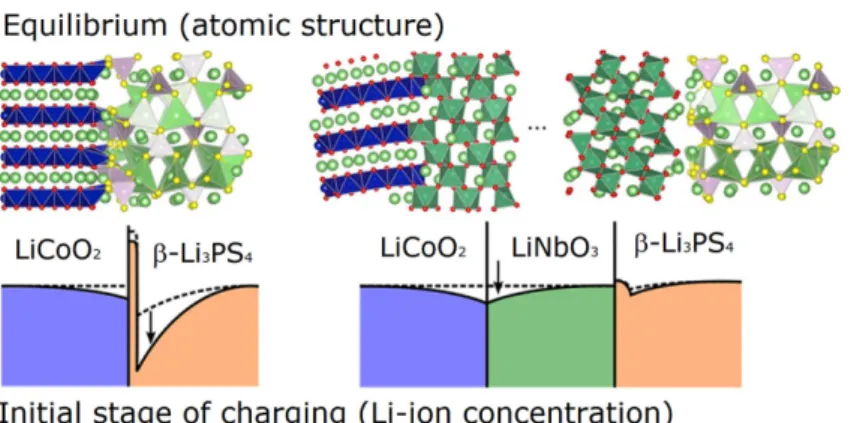 Fig. 8. Space-charge region and litium-ion concentration profile of LiCoO 2 -Li 3 PS 4  interface as a nanoionic effect in the interface of sulfide electrolyte