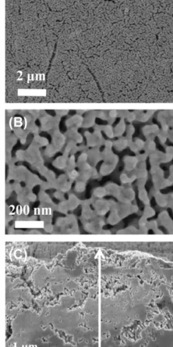 Fig. 4.  Dependence of Rf of NPG surfaces on (A) applied  potentials with a fixed reaction time of 3600 s and (B)  reaction times with a fixed applied potential of 5.0 V  during the anodization in 1.0 M FA