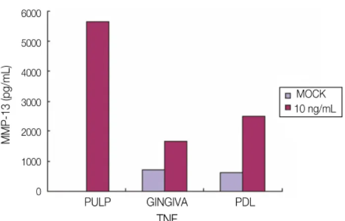 Figure 7. Secretion of MMP-13 after stimulation with mock and  different  dose  of  TNF-α(2  ng/mL,  10  ng/mL,  100 ng/mL) for 24 hrs