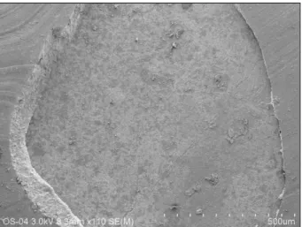 Figure 2. Representative mixed failure to enamel surface in SB group (×110).