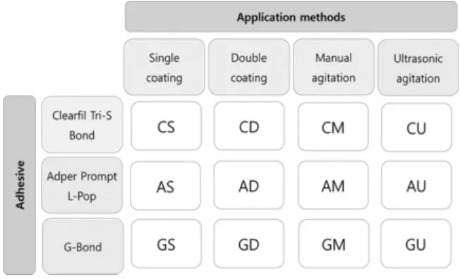 Figure 1. Groups used in this study are noted according to the type of adhesive and application methods.