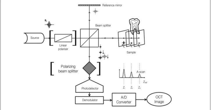 Figure 1. The  general  scheme  of  an  interferometric  OCT  setup.  The  linear  polarizer  and  the  polarizing  beam  splitter  in parenthesis  are  equipped  in  PS-OCT