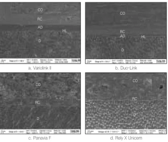Figure 3. FE-SEM  images  of  debonded  interface  (×1000).